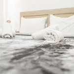 Napa Διαμέρισμα